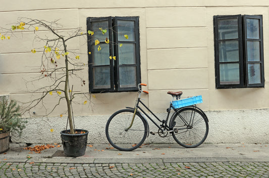 Lonely Bicycle in Ljubljana